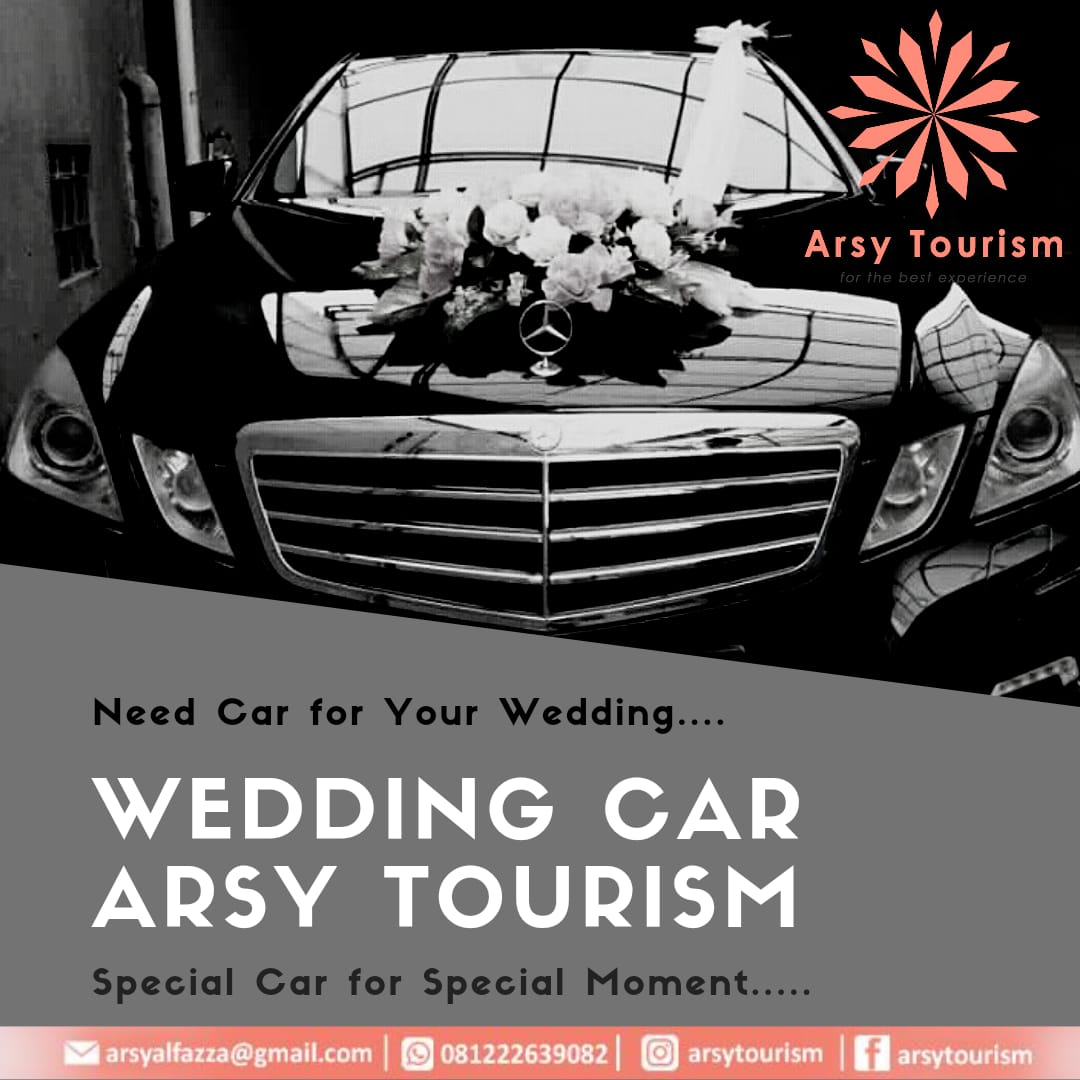 Mercedes-Benz Wedding Car