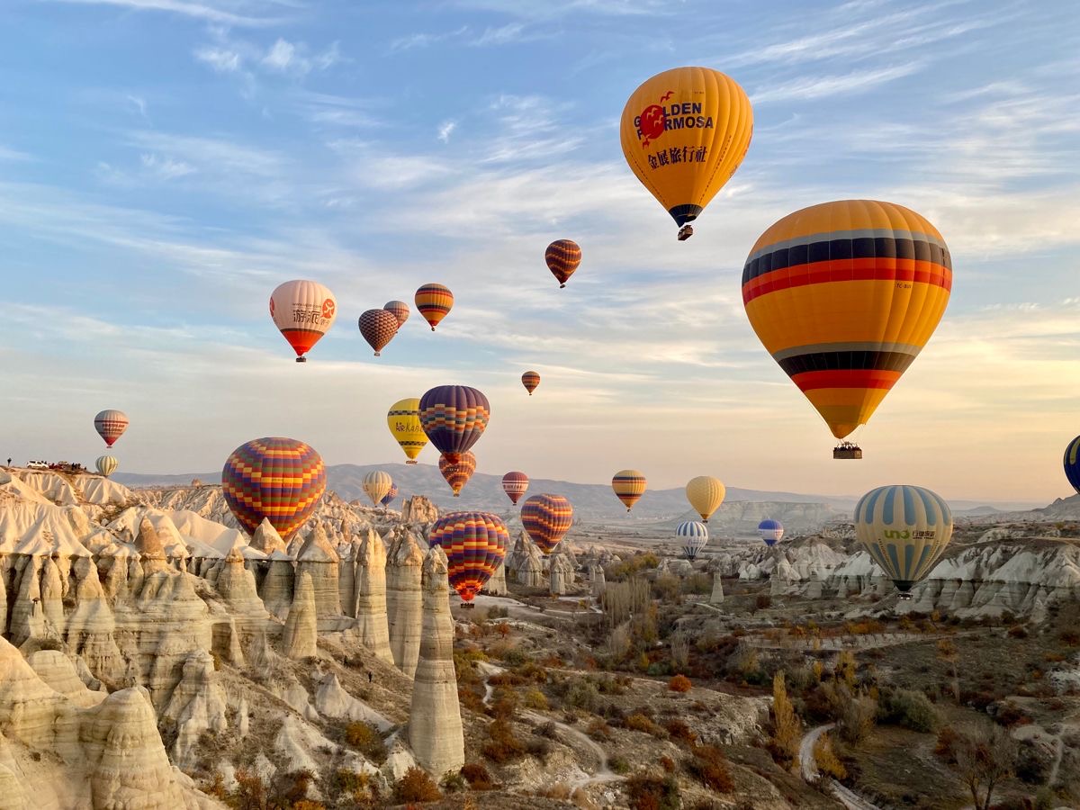 International Tour - Image 5